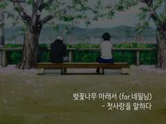 [유온아/빅토카츠] 벚꽃나무 아래서