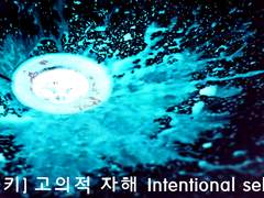 [스팁버키] 고의적 자해