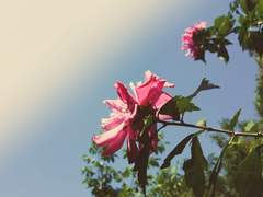 [엔니로] 1st Anniversary