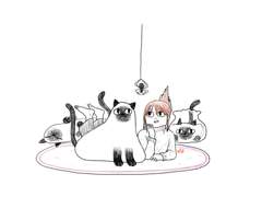 액체고양이 퐁듀