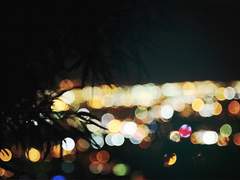 [에릭찰스] Apple Tree - 05 -