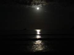 토니버키) 검은 달