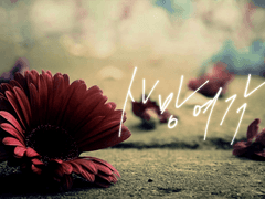 [모브레이] 사망여각 *2