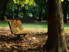 《맥디바》첫만남