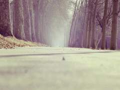 [아카야치] 서로를 향한 그 길 위에서_2