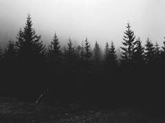 [크레이브스] True Colours