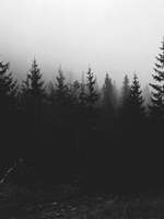 Fantastic Beasts and Where to find them