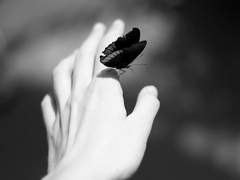 존재.시간.정체