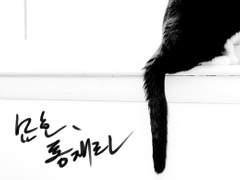 [모브레이리츠] 묘호, 통재라 *上