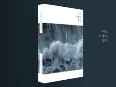 피도 눈물도 없이