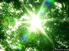 [에릭찰스] Apple Tree - 06 -