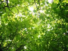 《맥디바》첫만남