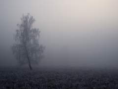 [레예맥] invàlido