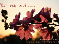 [마츠하나] 꽃이 피는 시기