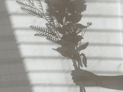 [펭귄로우] Bouyancy 1