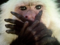 161228 동식배우 나오는 판-도라를 봤는데...