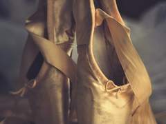 나비가 꾸는 꿈