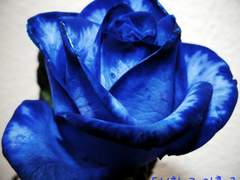 11화 그 이후~(2)