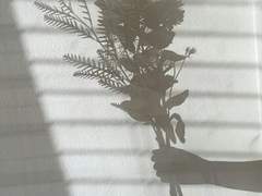 [펭귄로우] Bouyancy 3