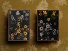 消失的梦(소실적몽)