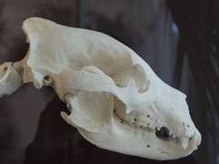 [블래샌] 블래스터 만담극장 (2)