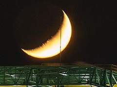 내 미학을 아시나요