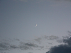 [도플코라로우] 꿈(‪夢‬)