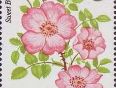 꽃과 바다, 그 사이에 기쁜 우리