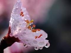 THE AND : 겨울의 끝