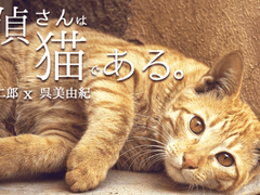 [에노미유] 탐정님은 고양이로소이다