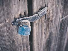 [허니베리+?] 상처뿐인 해방을 위하여