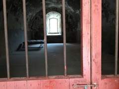 [프리샌] DETERMINISM