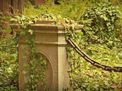 [프리샌] 꼭두각시(발견)