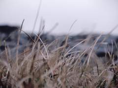 [레예맥] Hate you