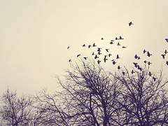 Untitled - and the tale left