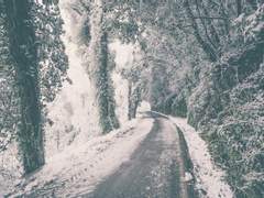 [스팁버키] 이탈-탈출 (2)