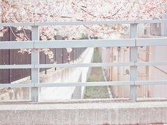 [희쌈/희철경훈] 미제