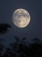 달빛 아래에 서서