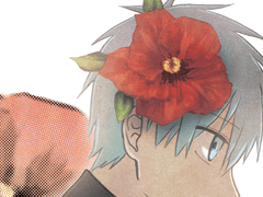 HIBISCUS ~After Flowers Fall~