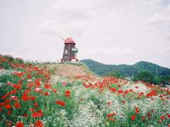 [희쌈/희철경훈] 흔적