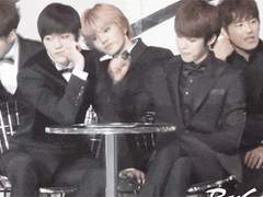 [쫑엘] 애새끼 아니면 개새끼