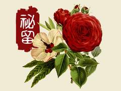 [정왕종주][정매]祕留 -2-