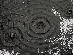 [다자아츠] 겨울비(下)