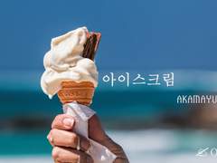 [적먹] 아이스크림