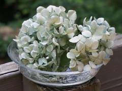 [아츠쿄카] The sixth floor