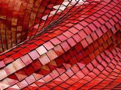 스팁버키: 흔적