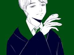 슬리데린 후계자 김신