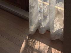 [희쌈/희철경훈] Geranium