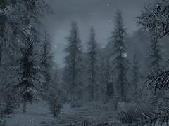 [굿나잇빌리] patio door1