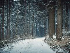 [굿나잇빌리] patio door 2